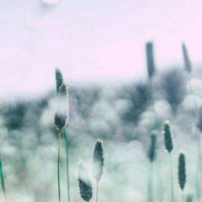 梦幻西游挂机版bt版下载